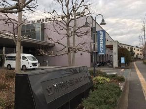 51936827_2053119874805368_5784679219468435456_n